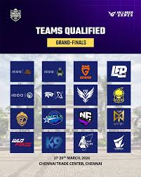 BGIS teams